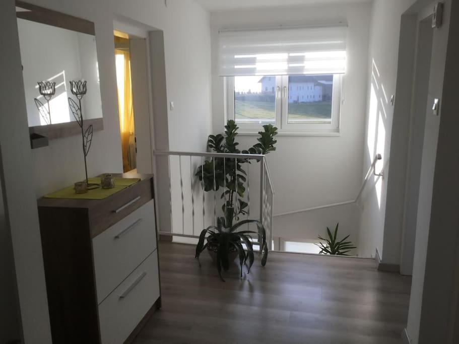 Vila Haus Im Gruenen Bad Zell Exteriér fotografie